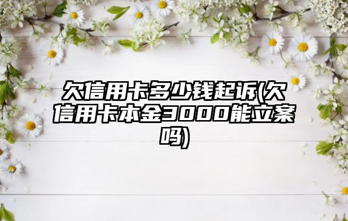 欠信用卡多少錢起訴(欠信用卡本金3000能立案嗎)