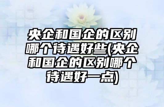 央企和國(guó)企的區(qū)別哪個(gè)待遇好些(央企和國(guó)企的區(qū)別哪個(gè)待遇好一點(diǎn))