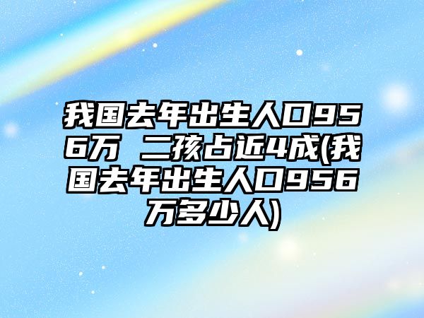 我國去年出生人口956萬 二孩占近4成(我國去年出生人口956萬多少人)