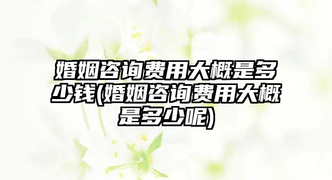 婚姻咨詢費用大概是多少錢(婚姻咨詢費用大概是多少呢)