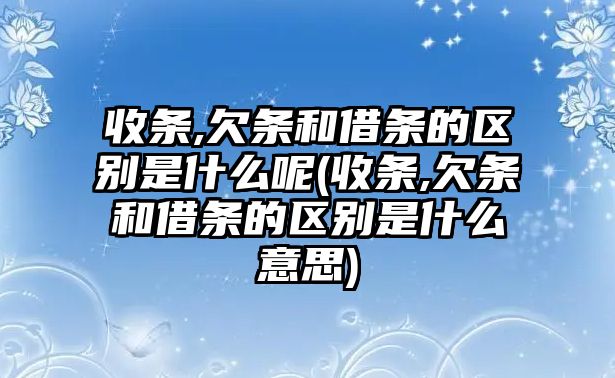 收條,欠條和借條的區(qū)別是什么呢(收條,欠條和借條的區(qū)別是什么意思)