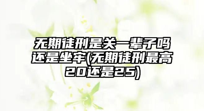 無期徒刑是關一輩子嗎還是坐牢(無期徒刑最高20還是25)