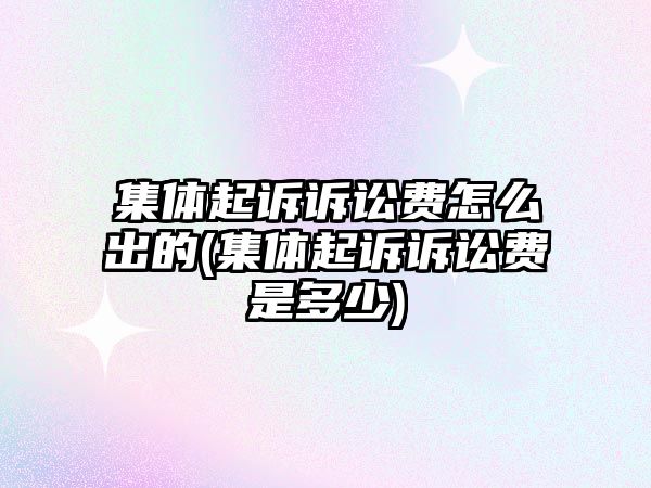 集體起訴訴訟費怎么出的(集體起訴訴訟費是多少)