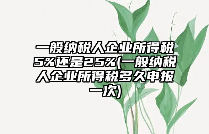 一般納稅人企業所得稅5%還是25%(一般納稅人企業所得稅多久申報一次)