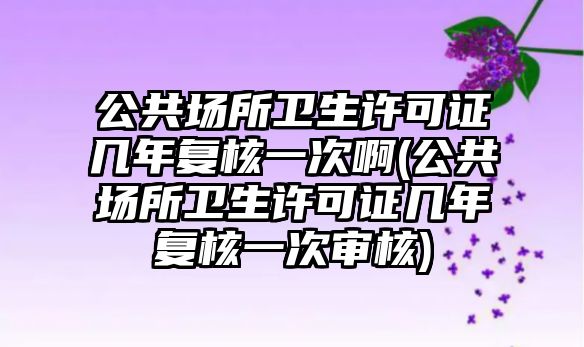 公共場所衛(wèi)生許可證幾年復(fù)核一次啊(公共場所衛(wèi)生許可證幾年復(fù)核一次審核)