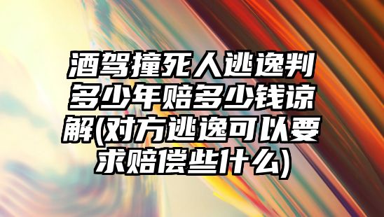 酒駕撞死人逃逸判多少年賠多少錢諒解(對方逃逸可以要求賠償些什么)