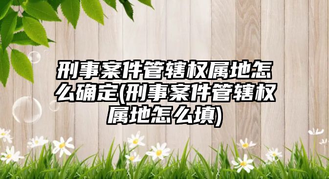 刑事案件管轄權(quán)屬地怎么確定(刑事案件管轄權(quán)屬地怎么填)