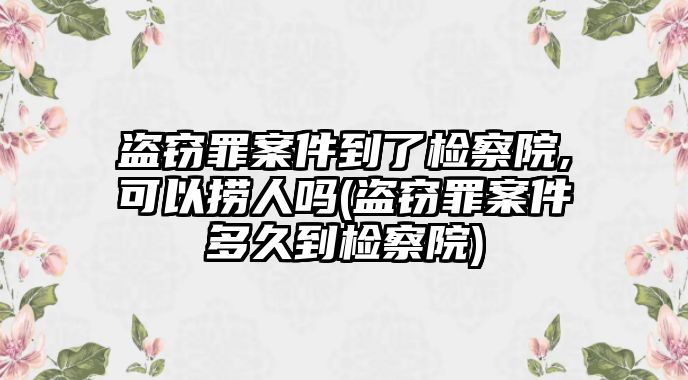 盜竊罪案件到了檢察院,可以撈人嗎(盜竊罪案件多久到檢察院)