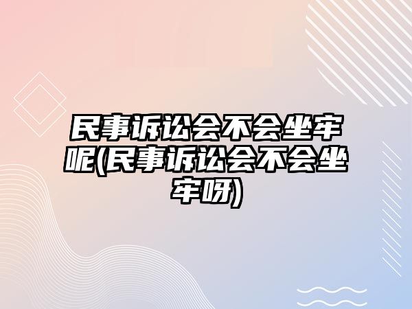 民事訴訟會不會坐牢呢(民事訴訟會不會坐牢呀)