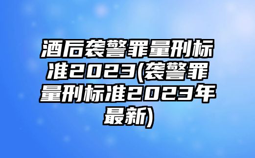 酒后襲警罪量刑標(biāo)準(zhǔn)2023(襲警罪量刑標(biāo)準(zhǔn)2023年最新)