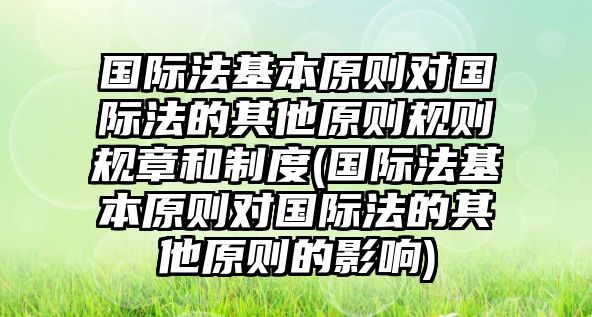 國際法基本原則對國際法的其他原則規則規章和制度(國際法基本原則對國際法的其他原則的影響)