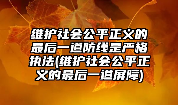 維護社會公平正義的最后一道防線是嚴格執法(維護社會公平正義的最后一道屏障)