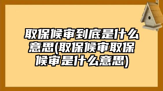 取保候審到底是什么意思(取保候審取保候審是什么意思)