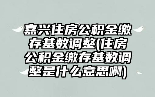 嘉興住房公積金繳存基數調整(住房公積金繳存基數調整是什么意思啊)