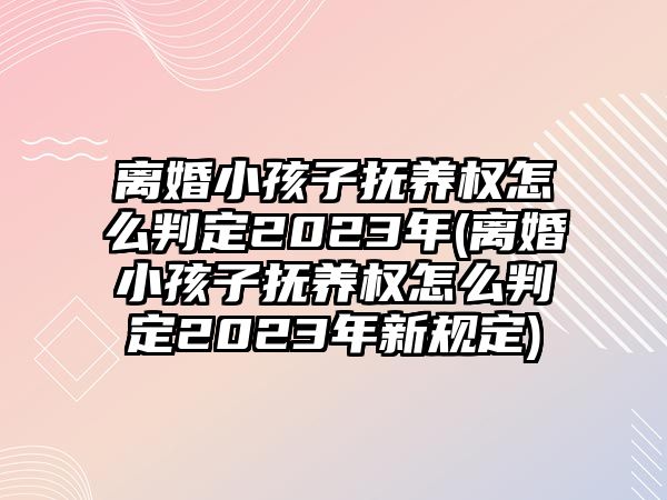 離婚小孩子撫養權怎么判定2023年(離婚小孩子撫養權怎么判定2023年新規定)