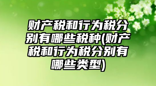 財產(chǎn)稅和行為稅分別有哪些稅種(財產(chǎn)稅和行為稅分別有哪些類型)