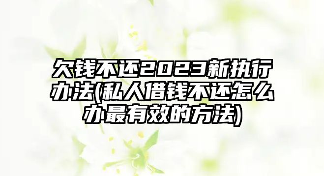 欠錢不還2023新執行辦法(私人借錢不還怎么辦最有效的方法)