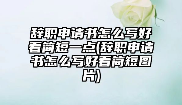 辭職申請書怎么寫好看簡短一點(辭職申請書怎么寫好看簡短圖片)