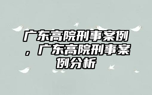 廣東高院刑事案例，廣東高院刑事案例分析