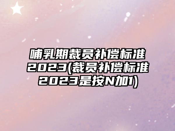 哺乳期裁員補償標準2023(裁員補償標準2023是按N加1)