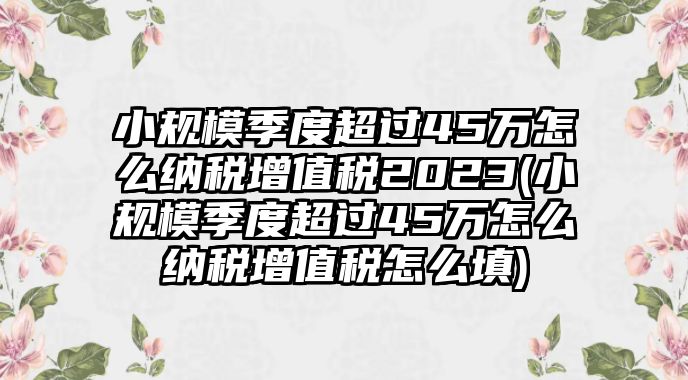 小規(guī)模季度超過(guò)45萬(wàn)怎么納稅增值稅2023(小規(guī)模季度超過(guò)45萬(wàn)怎么納稅增值稅怎么填)