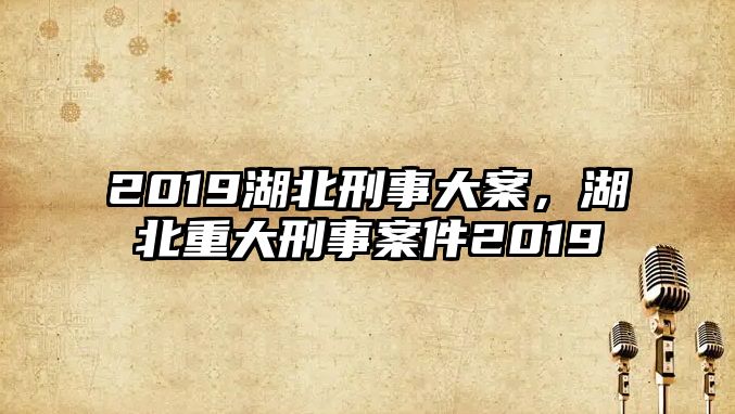 2019湖北刑事大案，湖北重大刑事案件2019