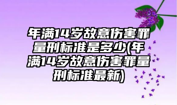 年滿14歲故意傷害罪量刑標準是多少(年滿14歲故意傷害罪量刑標準最新)