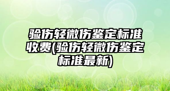 驗傷輕微傷鑒定標準收費(驗傷輕微傷鑒定標準最新)