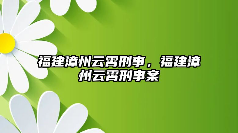 福建漳州云霄刑事，福建漳州云霄刑事案