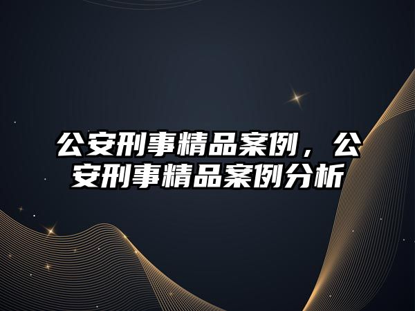 公安刑事精品案例，公安刑事精品案例分析