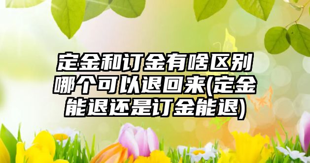 定金和訂金有啥區(qū)別哪個(gè)可以退回來(lái)(定金能退還是訂金能退)