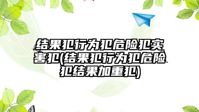 結果犯行為犯危險犯實害犯(結果犯行為犯危險犯結果加重犯)