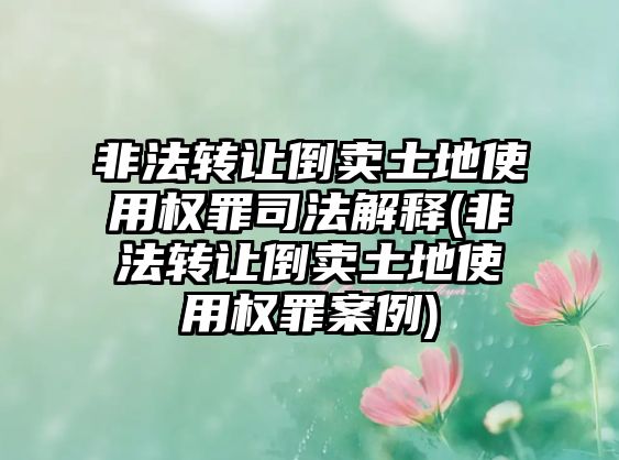 非法轉(zhuǎn)讓倒賣土地使用權(quán)罪司法解釋(非法轉(zhuǎn)讓倒賣土地使用權(quán)罪案例)