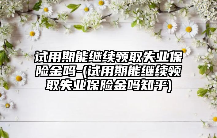 試用期能繼續領取失業保險金嗎-(試用期能繼續領取失業保險金嗎知乎)