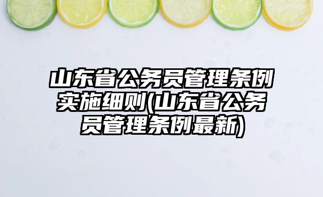 山東省公務員管理條例實施細則(山東省公務員管理條例最新)