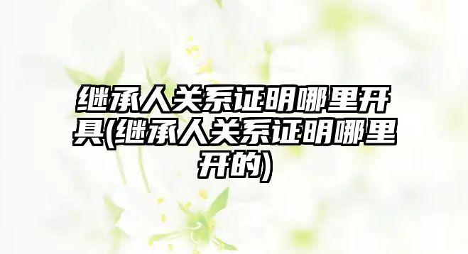 繼承人關系證明哪里開具(繼承人關系證明哪里開的)