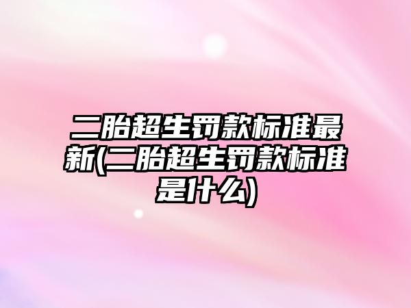 二胎超生罰款標準最新(二胎超生罰款標準是什么)