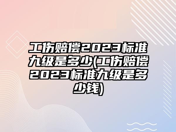 工傷賠償2023標(biāo)準(zhǔn)九級是多少(工傷賠償2023標(biāo)準(zhǔn)九級是多少錢)