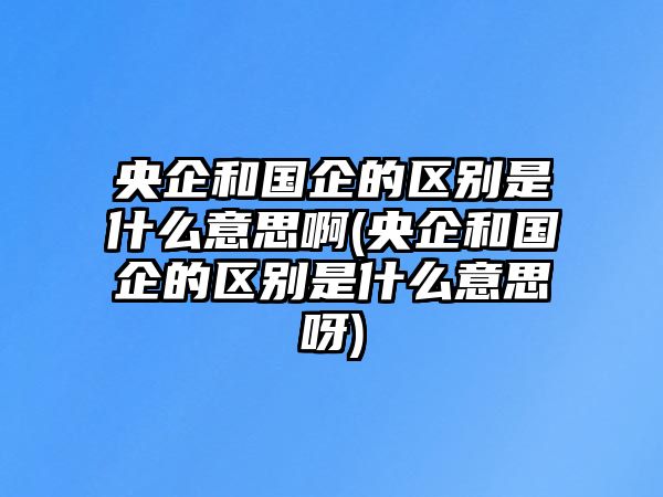 央企和國企的區別是什么意思啊(央企和國企的區別是什么意思呀)