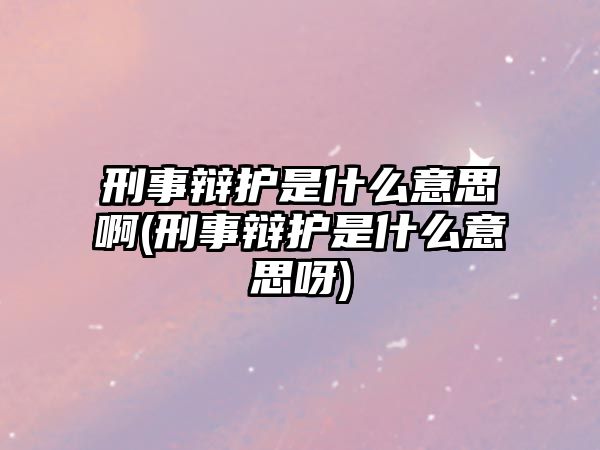 刑事辯護是什么意思啊(刑事辯護是什么意思呀)