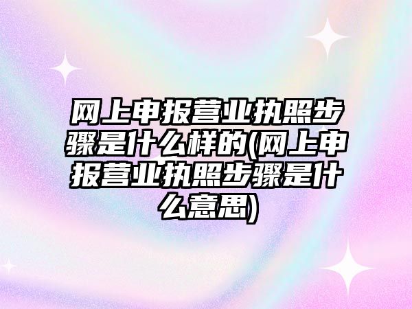 網上申報營業執照步驟是什么樣的(網上申報營業執照步驟是什么意思)