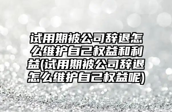 試用期被公司辭退怎么維護自己權益和利益(試用期被公司辭退怎么維護自己權益呢)