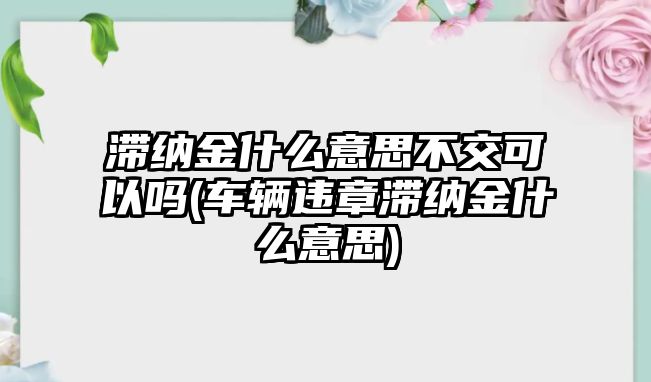 滯納金什么意思不交可以嗎(車輛違章滯納金什么意思)