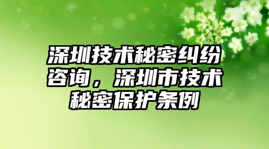 深圳技術秘密糾紛咨詢，深圳市技術秘密保護條例