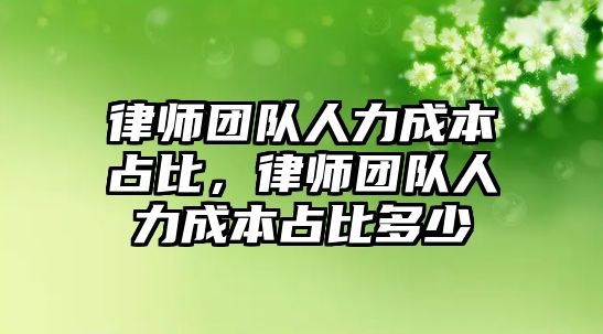 律師團隊人力成本占比，律師團隊人力成本占比多少