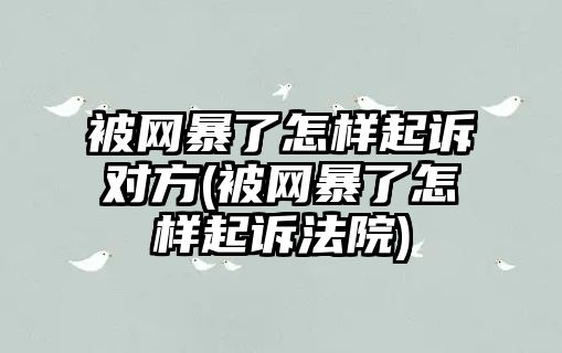 被網暴了怎樣起訴對方(被網暴了怎樣起訴法院)