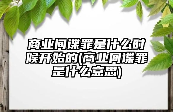 商業間諜罪是什么時候開始的(商業間諜罪是什么意思)