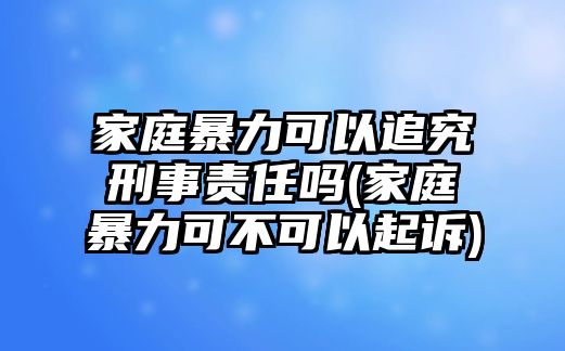 家庭暴力可以追究刑事責(zé)任嗎(家庭暴力可不可以起訴)