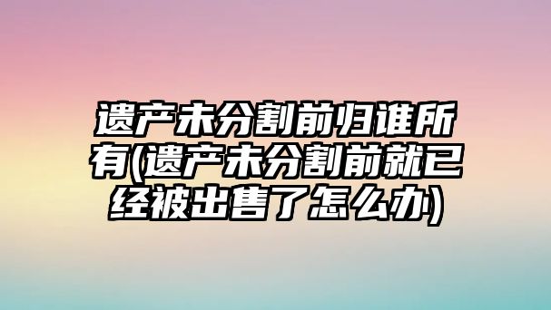 遺產(chǎn)未分割前歸誰所有(遺產(chǎn)未分割前就已經(jīng)被出售了怎么辦)