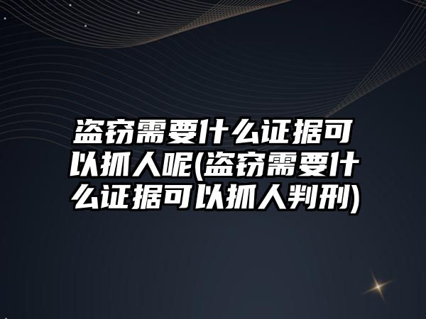 盜竊需要什么證據可以抓人呢(盜竊需要什么證據可以抓人判刑)